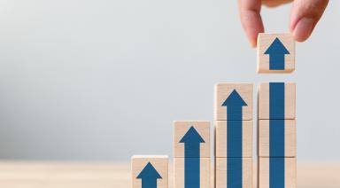 surex ladder career path business